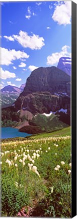 Framed Beargrass with Grinnell Lake in the background, US Glacier National Park, Montana Print