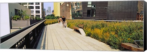 Framed Walkway in a linear park, High Line, New York City, New York State, USA Print