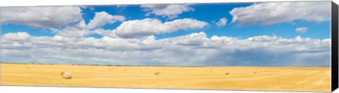 Framed Hay bales in a field, Alberta, Canada Print