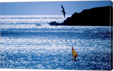 Framed Windsurfer in the sea, Sint Maarten, Netherlands Antilles Print