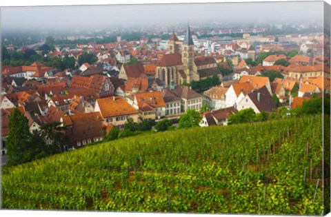 Framed City viewed from vineyard, Esslingen-Am-Neckar, Baden-Wurttemberg, Germany Print