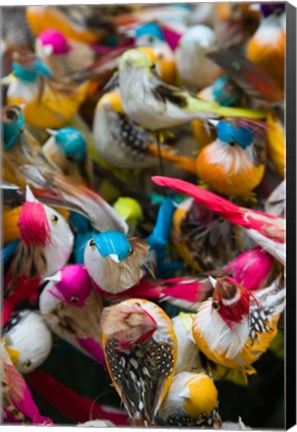 Framed Artificial birds for sale at a market stall, Yuen Po Street Bird Garden, Mong Kok, Kowloon, Hong Kong Print