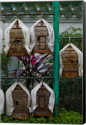 Framed Birds in cages for sale at a bird market, Yuen Po Street Bird Garden, Mong Kok, Kowloon, Hong Kong Print