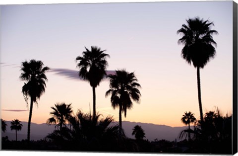 Framed Silhouette of palm trees at dusk, Palm Springs, Riverside County, California, USA Print