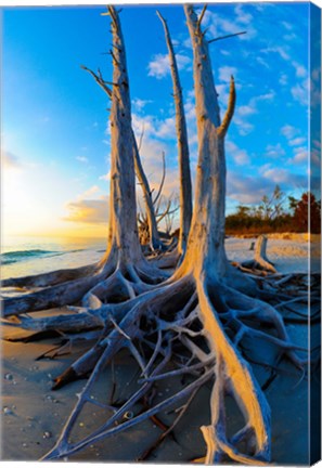 Framed Lovers Key State Park, Lee County, Florida Print