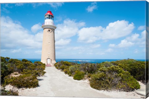 Framed Lighthouse at coast, Cape du Couedic Lighthouse, Flinders Chase National Park, Kangaroo Island, South Australia, Australia Print