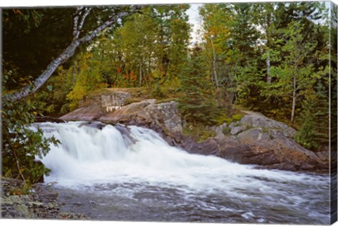 Framed Waterfall in a forest, Oxtongue River, Algonquin Provincial Park, Ontario, Canada Print