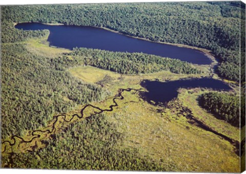 Framed Aerial view of a lake, Algonquin Provincial Park, Ontario, Canada Print