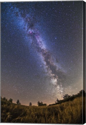 Framed summer Milky Way on a clear moonless evening in Alberta, Canada Print