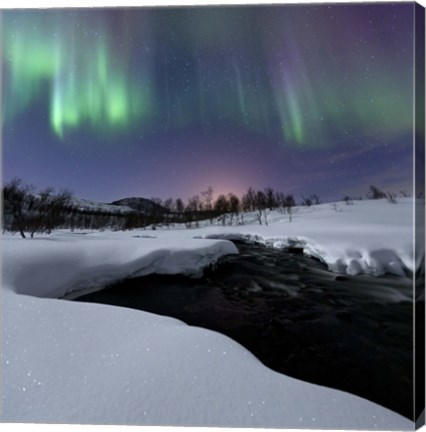 Framed Aurora Borealis over Blafjellelva RIver in Troms County, Norway Print