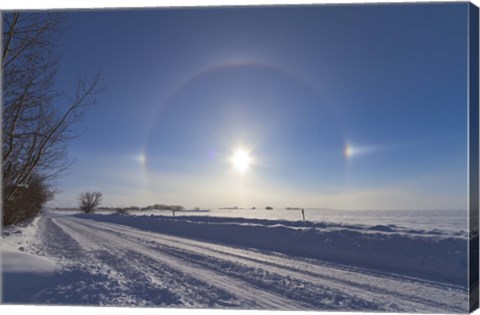 Framed Solar halo and sundogs in southern Alberta, Canada Print