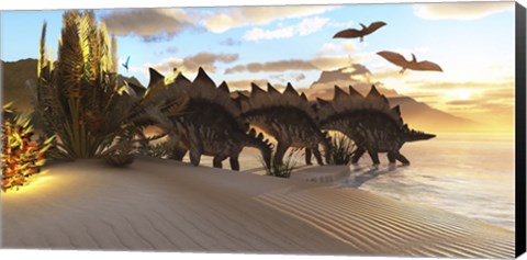 Framed Stegosaurus dinosaurs graze among the vegetation by a lake in the Jurassic Period Print