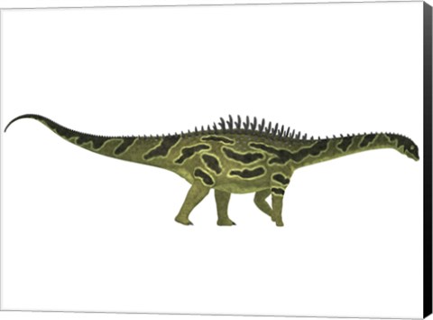 Framed Agustinia ligabuei, a sauropod from the Early Cretaceous Period Print