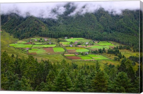 Framed Houses and Farmlands, Gangtey Village, Bhutan Print