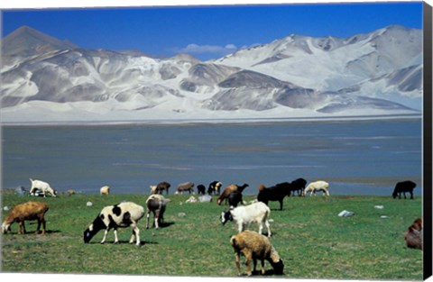 Framed View of Grazing Sheep, Karakuli Lake and Mt Kunlun, Silk Road, China Print