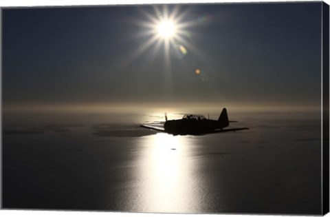 Framed silhouette of North American T-6 Texan warbird in Swedish Air Force colors Print