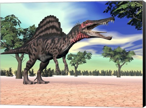 Framed Spinosaurus standing in the desert with trees Print