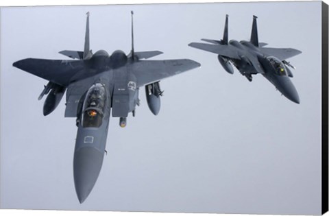 Framed Two  F-15E Strike Eagle of the US Air Force Print