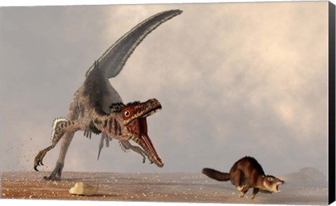 Framed velociraptor chasing a rat sized mammal Print