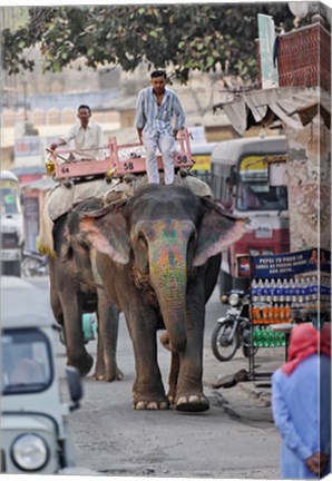 Framed Colorfully decorated elephant, Amber Fort, Jaipur, India Print