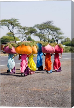 Framed Women Carrying Loads on Road to Jodhpur, Rajasthan, India Print