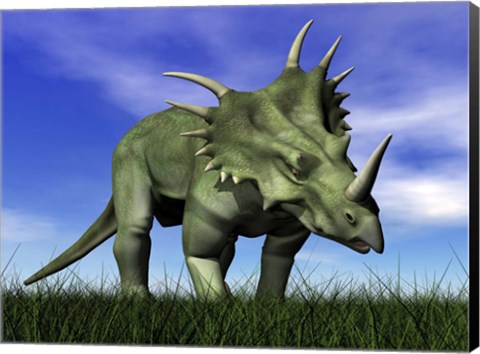 Framed Styracosaurus dinosaur walking in the grass Print