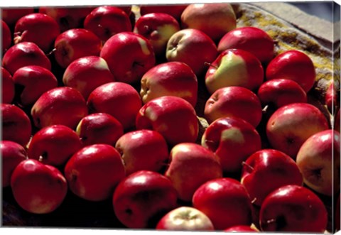 Framed India, Ladakh, Leh. Apples at market in Lamayuru Print