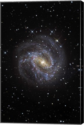 Framed Southern Pinwheel Galaxy Print