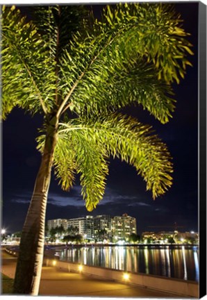 Framed Cairns, waterfront at night, North Queensland, Australia Print