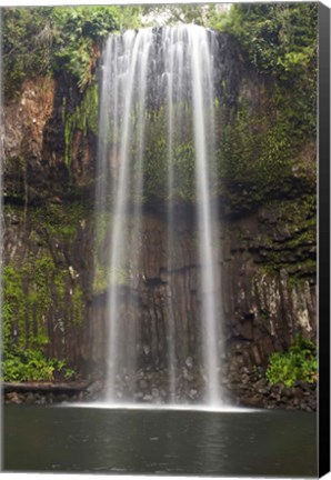 Framed Millaa Millaa Falls, Queensland, Australia Print