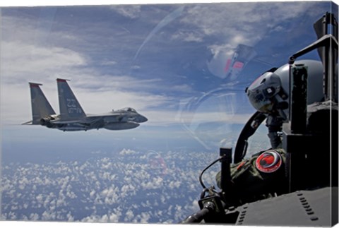 Framed F-15 Eagle Pilot with his Wingman Print