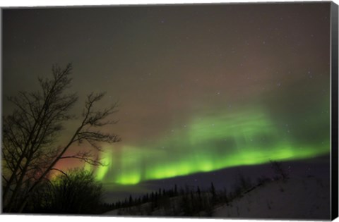 Framed Aurora Borealis, Twin Lakes, Yukon, Canada Print