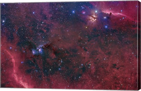 Framed Widefield View in the Orion Constellation Print