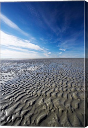 Framed Beach, Doctors Point, South Island, New Zealand (vertical) Print