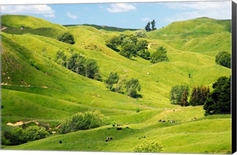 Framed Farmland near Gisborne, New Zealand Print