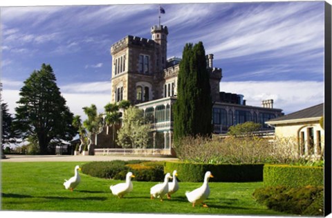 Framed Larnach Castle, Otago Peninsula, Dunedin, South Island, New Zealand Print