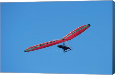 Framed Hang glider, Otago Peninsula, South Island, New Zealand Print