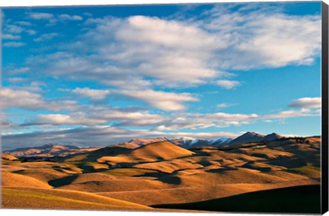 Framed North Otago Landscape, South Island, New Zealand Print