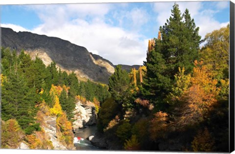 Framed Shotover Jet, Shotover River, Queenstown, New Zealand Print