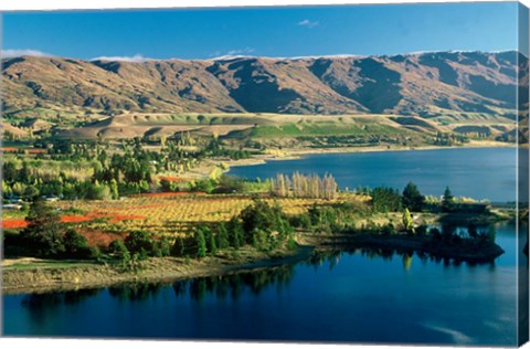 Framed Pisa Range and Lake Dunstan, Central Otago, New Zealand Print