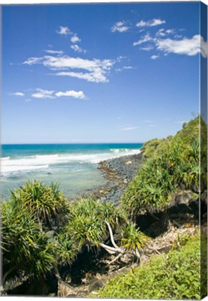 Framed Australia, Gold Coast, Burleigh Head NP beach Print