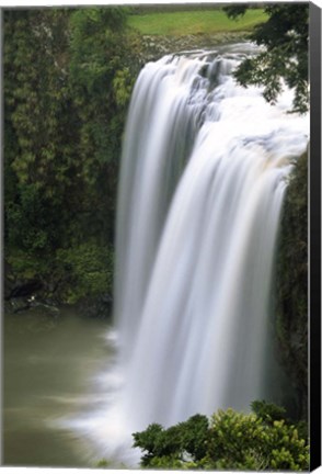 Framed Whangarei Falls, Whangarei, Northland, New Zealand Print