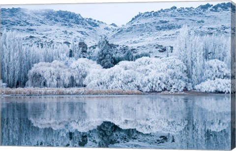 Framed Reflections and Hoar Frost, Butchers Dam, near Alexandra, Central Otago, South Island, New Zealand Print