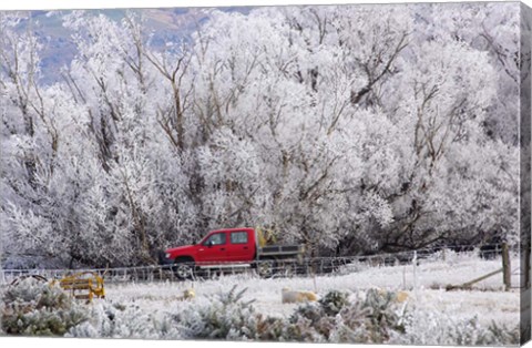 Framed Four Wheel Drive and Hoar Frost, Sutton, Otago, South Island, New Zealand Print