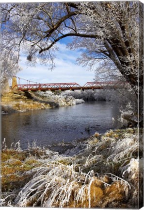 Framed Historic Suspension Bridge, Taieri River, South Island, New Zealand Print