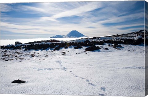 Framed Footsteps in Snow and Mt Ngauruhoe, Tongariro National Park, North Island, New Zealand Print