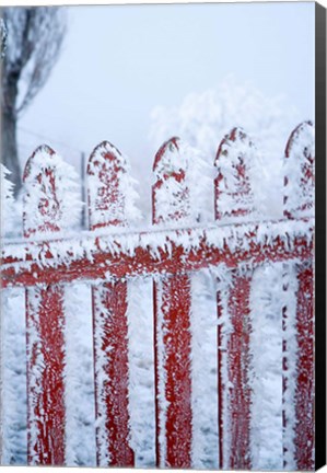 Framed Frost on Gate, Mitchell&#39;s Cottage and Hoar Frost, Fruitlands, near Alexandra, Central Otago, South Island, New Zealand Print