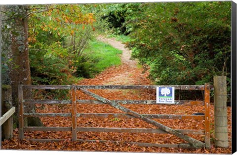 Framed Gate and Oak Leaves, Te Wera Arboretum, Forgotten World Highway, Taranaki, North Island, New Zealand Print