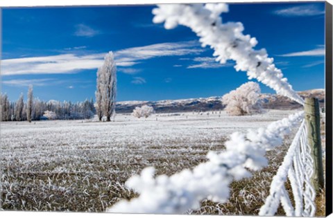 Framed Hoar Frost and Farmland near Poolburn, Central Otago, South Island, New Zealand Print