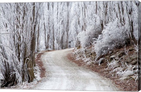 Framed Hoar Frost and Road by Butchers Dam, South Island, New Zealand (horizontal) Print